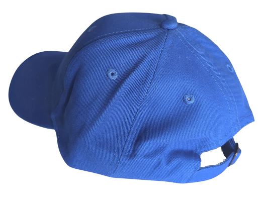 Shed Nine Blue Buckle Back Cap - Shed Nine
