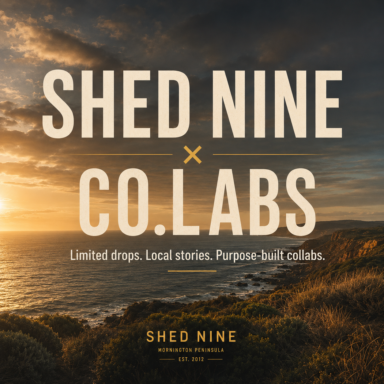 Shed Nine × Co.Labs