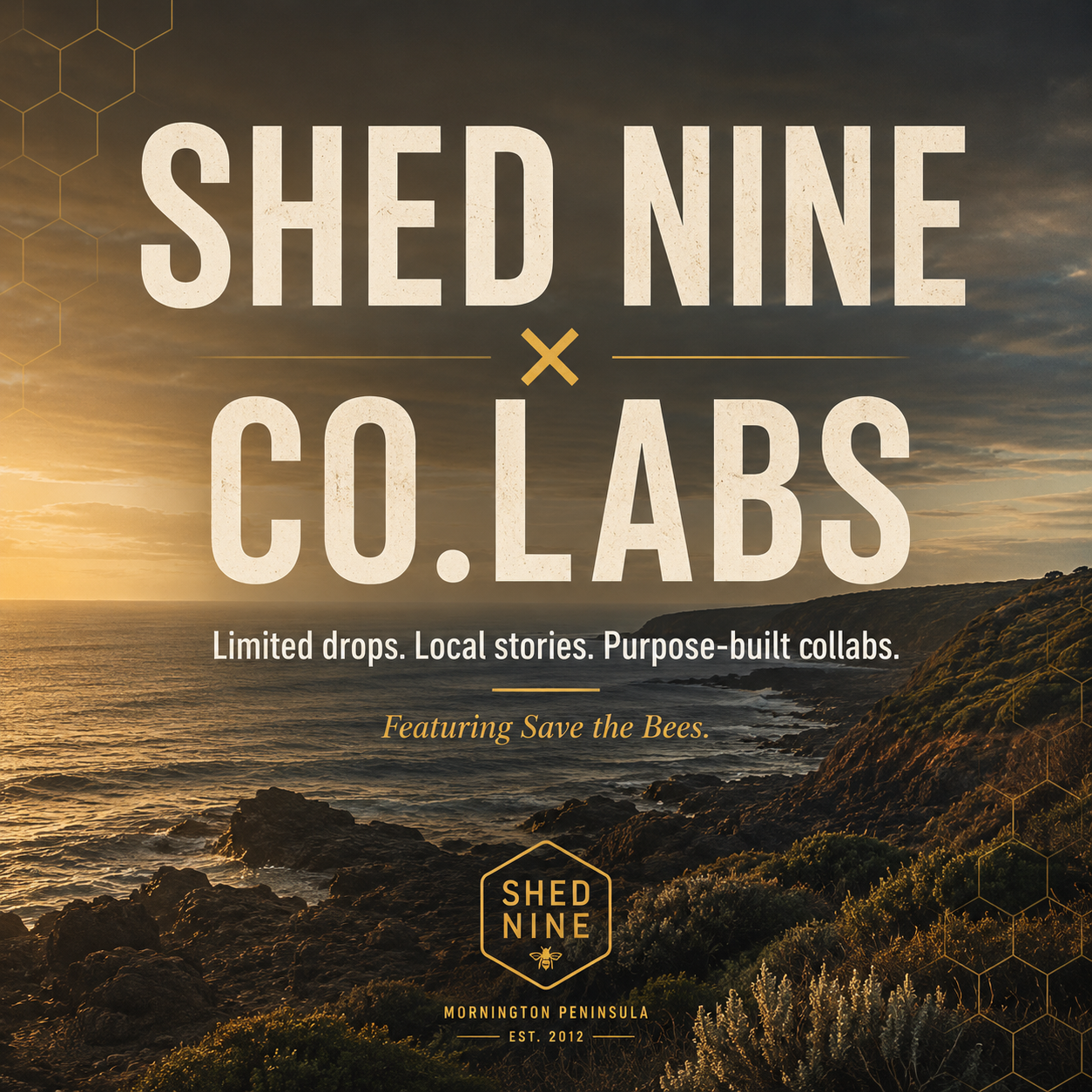 Shed Nine × Co.Labs: Save the Bees