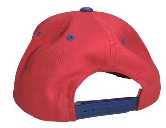 Shed Nine Blue/Red Snap Back Cap - Shed Nine