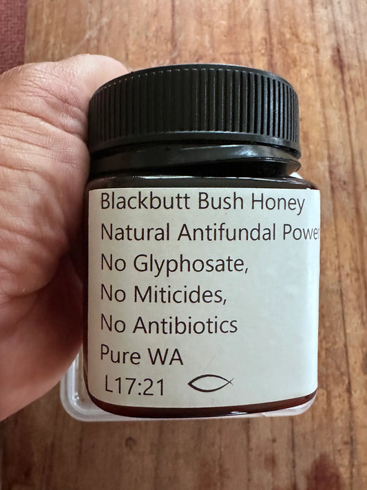 Shed Nine x Save the Bees WA Blackbutt Bush Honey Topical 250g jar